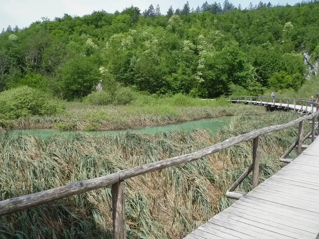 Split-frame comparison of Krka's green travertine cascades and Plitvice's terraced lakes, the two Croatian national parks travellers choose between